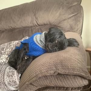 Meet your Posher, Marcia